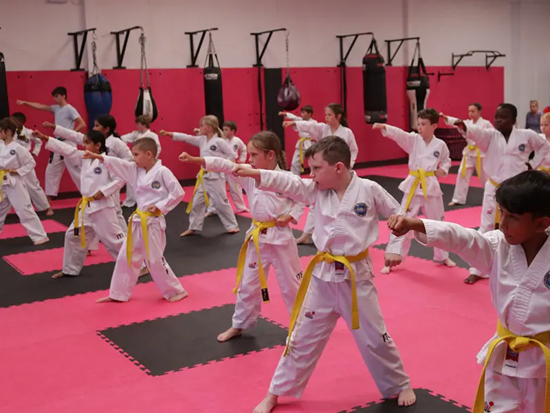 Kids-Martial-Arts-2